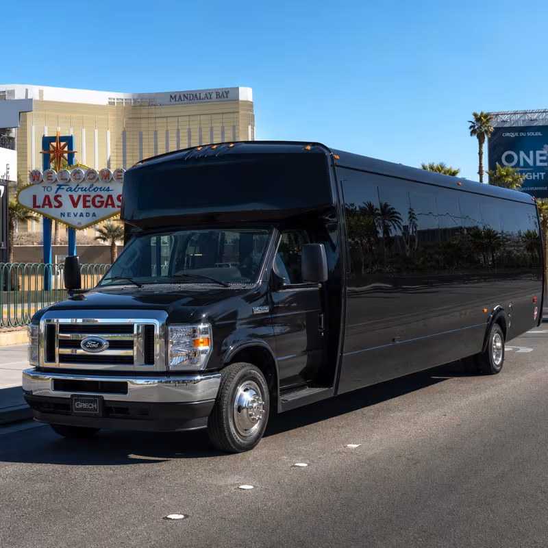 20 Passenger Party Bus