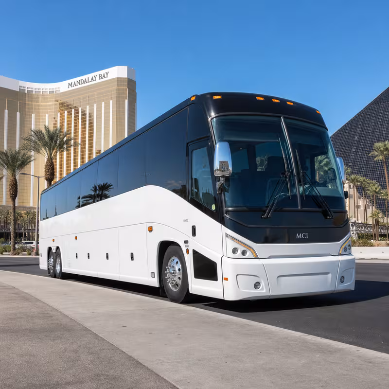 40-56 Passenger Charter Bus