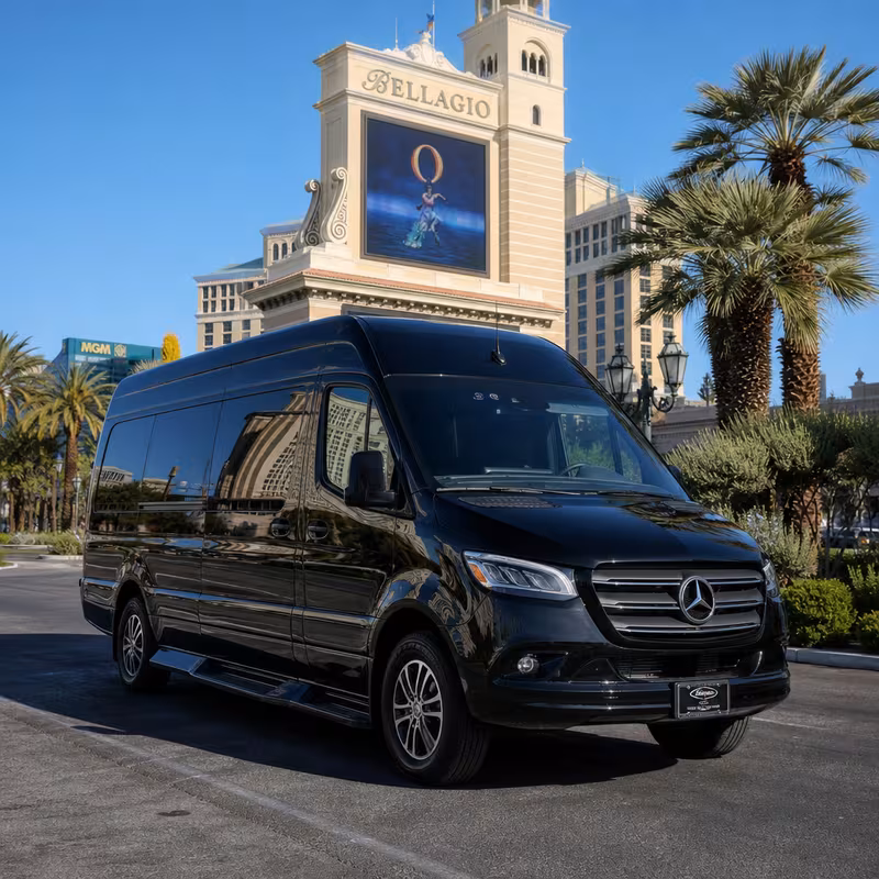 14 Passenger Sprinter Limo